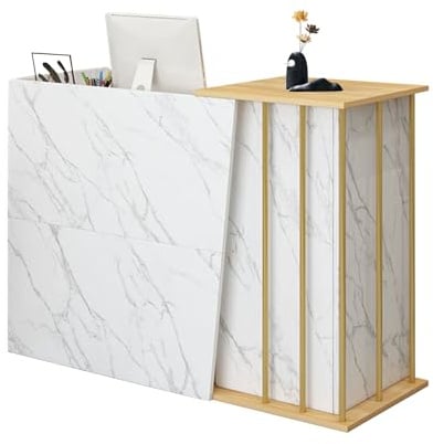 GAOXIAO Empfangstheke Büro Theke Laden Messe Tresen, Moderner Bartheke mit Stauraum an der Rezeption Tisch, Verkaufstresen mit 2 Schubladen, Kassentisch für Kosmetikstudio A 120 cm