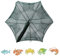 Tragbares Fischernetz, gefaltete Fischköderfallen mit Reißverschlussdesign, Fischgarnelen Minnow Crayfish Crab Baits Tarp Fischernetz Fischernetz Schnell GeöFfnet FischköDerfallen (6 Holes)