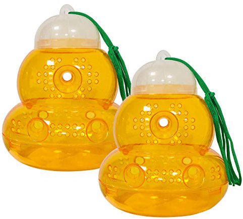 BoloShine 2 Stück Wespenfalle, Plastik Hornissenfalle Lebendfalle Wespen ohne Lockstoff, Wiederverwendbar Fruit Fly Trap Wespenfänger Für Bauernhof im Freien