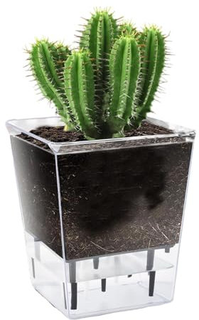 Vaso per piante da irrigazione trasparente da 15,9 cm, vasi da fiori per irrigazione inferiore, vaso per irrigazione automatica in plastica trasparente, vasi per bonsai da giardino, fioriera per