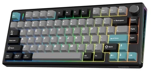 EPOMAKER TH80 V2 Tastiera Meccanica Wireless 75% con Manopola, 8000mAh | 2.4GHz/BT/USB-C, RGB, Hot-Swap, Tasti in PBT, Tastiera da Gaming Wireless per PC/Mac (Nero, Sea Salt Silent Switch)