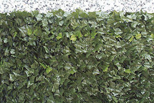 VERDELOOK Sempreverde® Point Siepe Artificiale 1.5x3 m, Foglia edera, Decorazioni Giardino