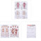MISNODE 5 Pack Human Anatomy Poster, Muskel- + Skelettanatomie + Übungsposter-Set, menschliches Muskel- und Skelettsystem, anatomische Diagramme (45 x 68 cm)