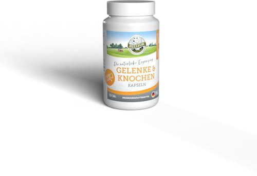 Bellfor Gelenke & Knochen – Ergänzungsfuttermittel für Hunde mit Ovopet®, Kollagen & Hyaluronsäure – 50 Kapseln – Unterstützung der normalen Gelenk- und Knochenfunktion