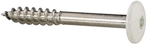 Fassadenschrauben 5,5 x 45 mm - RAL 9010 - Reinweiß TX20-100 Stück Edelstahl A4