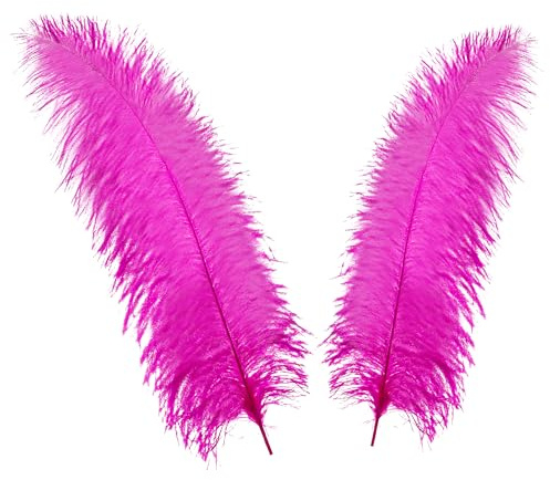 WedDecor Large Real Ostrich Feathers 50–60cm – Hot Pink Natural Plumes for Table Centerpieces, Dressmaking, Fashion Accessories, Hats, DIY Crafts & Wedding Decoration, 10pcs | 50-60cm Long Feather for Wedding Centerpieces, Home, Decorating Costumes, Embellishment, Art & Craft, Parties