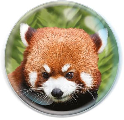 Deluxebase Magnidome - Roter Panda Panda Kristallglas Kühlschrank Magnet für Kinder. Hervorragende gewölbte Magnete für Wohndekoration und Zubehör