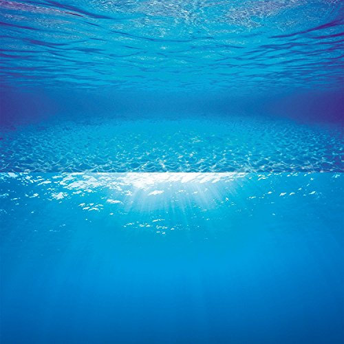 Juwel Aquarium - Poster 2 L - passend für Aquarien 80 x 50 cm bis 100 x 50 cm