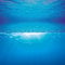 Juwel Aquarium - Poster 2 L - passend für Aquarien 80 x 50 cm bis 100 x 50 cm