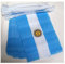AZ FLAG Ghirlanda 6 Metri 20 Bandiere Argentina 21x15cm, Bandiera Argentina 15 x 21 cm - Festone Bandierine