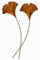 Blümelhuber 2er Set Gartenstecker Ginkgoblatt Metall Rost Gartendeko Edelrost