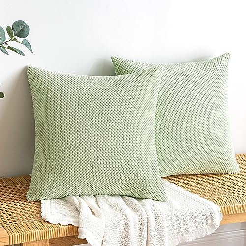 EMEMA Kordsamt Kissenbezug Dekorative Granulat Sofakissen Dekokissen Kissenbezüge Kissenhülle Couchkissen Überwurf Kissen Bezug Zierkissen für Couch Sofa Wohnzimmer 2er Set 40x40 cm Hellgrün