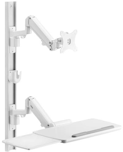 SpeaKa Professional SP-MM-960 1fach Monitor-Wandhalterung Mit Tastaturablage, übereinander 43,2 cm (17) - 109,2 cm (43