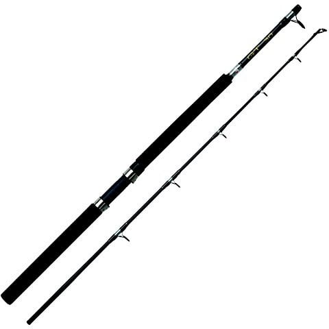 Abu Garcia GT Boat Baitcastruten, Schwarz