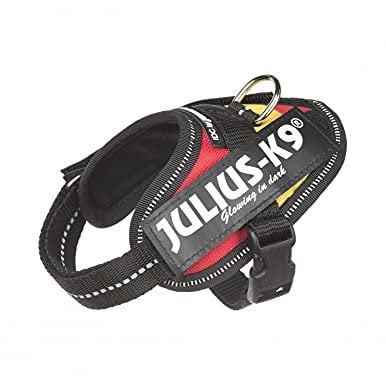 Julius-K9, IDC Powergeschirr, Größe: 3XS/Baby 1, Spanische Farben
