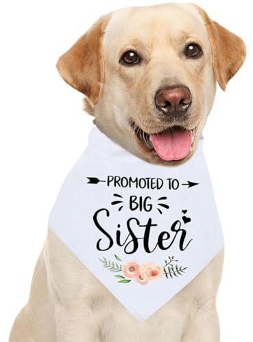 WKRTDY 1 Stück Schwangerschafts Ankündigungs-Hundebandana Große Schwester Haustier-Bandana & Foto-Requisite - Hunde-Bandana für Haustiere - Hunde lieben Geschenke
