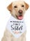 WKRTDY 1 Stück Schwangerschafts Ankündigungs-Hundebandana Große Schwester Haustier-Bandana & Foto-Requisite - Hunde-Bandana für Haustiere - Hunde lieben Geschenke