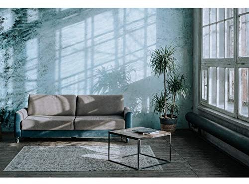 Ttincceer Living Room Backdrop 20x10ft Retro Sofa Wooden Floor Coffee Table Photography Background Wall Light Shadow Indoor Plant Photography Backdrop Studio Shot Prop