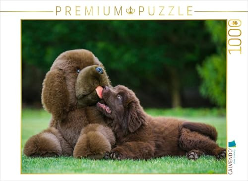 CALVENDO Puzzle Neufundländer | 1000 Teile Lege-Größe 64 x 48 cm Foto-Puzzle für glückliche Stunden