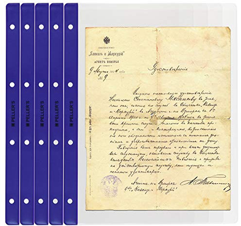 PELLER'S Banknotenhüllen - Briefehüllen für Sammelalbum XL. 10er Pack. (Modell XL: 1 Tasche 219 x 300 mm)