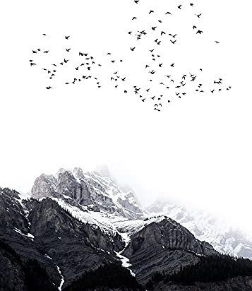 Fototapete Berge ARTist Wohnzimmertapete 2.00 m x 2.80 m Schwarz Weiß Grau