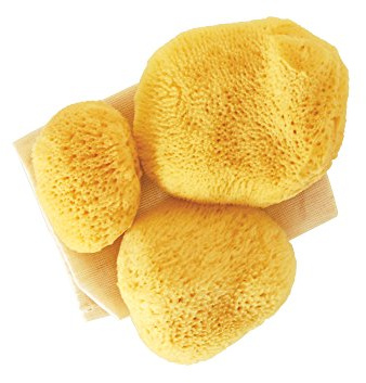 Premium Ultra Soft Sea Pearls Reusable Sea Sponges - Multi Pack