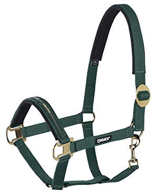 Standard Halfter SLIDING BUCKLE
