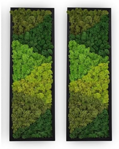yersiz Großes Moosmuster-Wandkunst, echtes Moos, Wandkunst für Wohnzimmer & Schlafzimmer, 2er-Set Vintage-Wandpaneele für Innenwanddekoration, Badezimmer- und Heimdekoration, umweltfreundlich