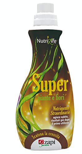 Zapi Concime Super Nutrimento Liquido 1 Lt
