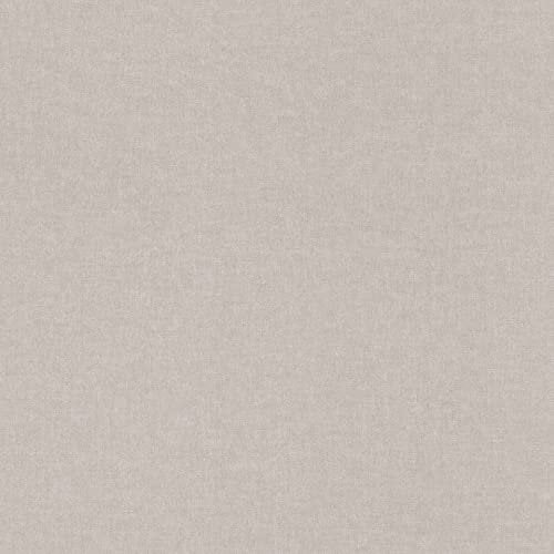 Rasch Tapeten Vliestapete (universell) Grau 10,05 m x 0,53 m Bambino XIX 252859