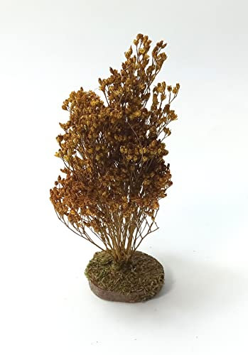 Miniaturenbau-Lewen Gelbe Strauch aus Naturmaterial.14-16 cm. für Weihnachtskrippen. Krippenbotanik