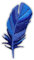 Feder - Blau - Aufnäher - Bestickter Aufnäher / Abzeichen / Emblem
