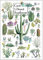 Earth Sky+Water Poster - Südwestlicher Wüstenkaktus