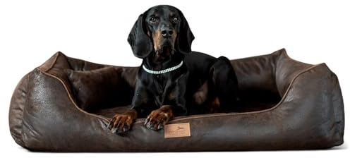 tierlando® Orthopädisches Hundebett Alberto im Vintage Antik Style mit abnehmbarem Velours-Bezug, komfortabel und pflegeleicht | Größe: 80x60cm | Farbe: 01 Braun