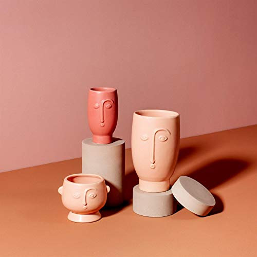 Sass & Belle Face Vase Matt Pink