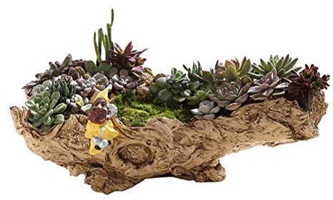 Pflanztöpfe Simulation Baum Wurzel Sukkulente Topf DIY Gartenpflanzen Töpfe im Freien Botanischer Garten Schöner Garten Blumentöpfe Für alle Hauspflanzen, Blumen, Kräuter