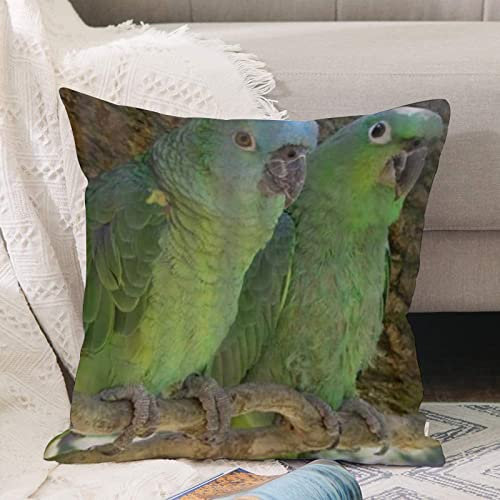 Kissenbezug 45x45 cm,Aquarell-Papagei-Vogel-Sittich-Wildtier-Barsch auf Zweig,Outdoor Kissen Kissenbezüge Kissenhülle Sofa Kissen dekokissen Zierkissen für Wohnzimmer Garten deko draußen