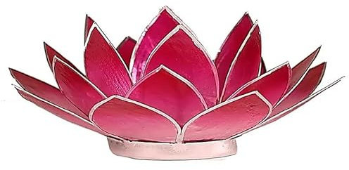 Capiz Lotus Atmospherisch Licht silberf.Ränder rosa - 13.5 cm