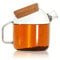 Teapro Glass Teapot for 2, 800ml Loose Leaf Teapot with Spout Strainer, Borosilicate Glass Tea Pot with Infuser