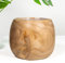 DARO DEKO Holz Blumentopf braun rund 20 x 16cm mit Einsatz für Innen und Außen