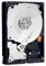 WESTERN DIGITAL WD1001FALS Caviar Black Hard Drive - 1 TB - 7,200 rpm - 32 MB - SATA-300 + PCI-ST101 PCI Controller Card - 3 SATA ports + 1 IDE port + Blue SATA II UV cable - 60 cm (SATA2-60-BLUVV2)