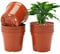 KINGLAKE 12Pcs 10.5cm Seed Starter Pots, Small Plastic Plant Pots with Drainage Holes, Sturdy Flower Nursery Pots for Potting Seedling, Cuttings, Succulents, Vegetables, Fruit, Herbs, Transplanting