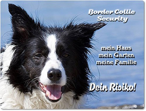 Merchandise for Fans Warnschild - Schild aus Aluminium 15x20cm - Motiv: Border Collie Security (01)