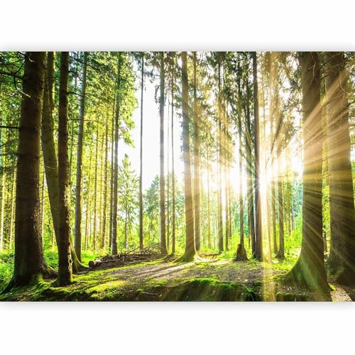 murando - Fototapete Vlies Wald, 100x70 cm, Schlafzimmer, Wohnzimmer | Full HD Druck, 3D-Effekt, lichtbeständige Farben, ideal fürs Wohn- oder Schlafzimmer, schnelle Montage, lichtbeständig, edel