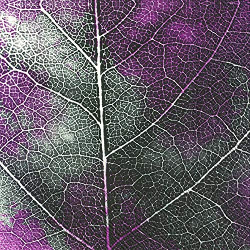 IHR THE LEAF pink Metallic paper table lunch napkins 33 cm square 3 ply 20 in a pack