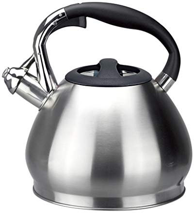 UNbit Bouilloire for dessus de cuisinière Bouilloire argentée Grande capacité Bouilloire Théière en acier inoxydable avec poignée ergonomique Réchaud et théière sifflante Fournitures de cuisine Théièr