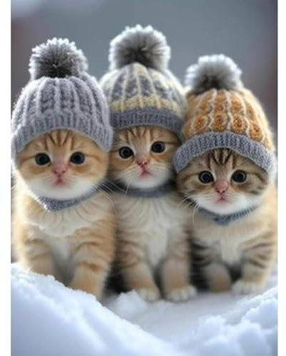 MAXBYE DIY Diamond Painting Set für Erwachsen, 5D Diamant Painting Bilder Kinder, Katze Diamond Art Painting Kit für Home Wand Décor 30x40cm