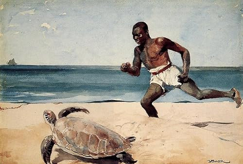 IPLUPJDY Leinwand Poster Wandbilder GemäLde Kunst Bilder Kunstdruck Leinwand Rum cay von winslow homer Leinwand Wandkunst poster für Wanddekoration 60x90cm