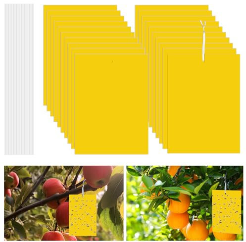 Flintronic 20PC Pièges à Insectes, Attrape Moucheron Plantes, Plug-in Pièges à Insectes Pièges Engluées Autocollants Colle Double sans Insecticide, Anti Moucheron Plante pour Plante Fleur Fruits