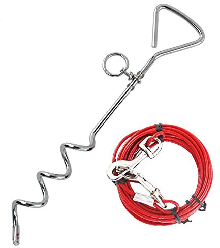 Taylor & Brown Câble d'attache Robuste pour Chien avec Piquet en Spirale de 40,6 cm et Laisse pour Chiot, Animal Domestique, extérieur, Cour ou Camping - 5 m